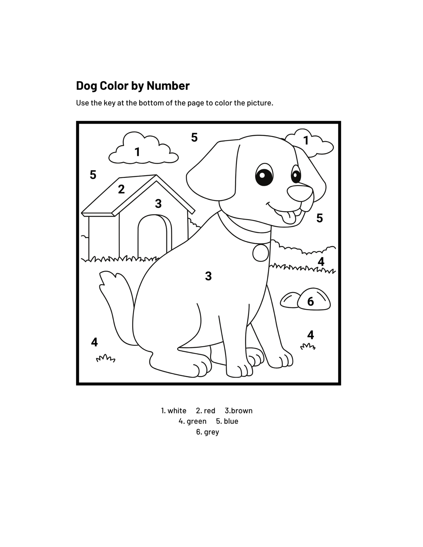 Paint with Numbers-ColoringDreamz