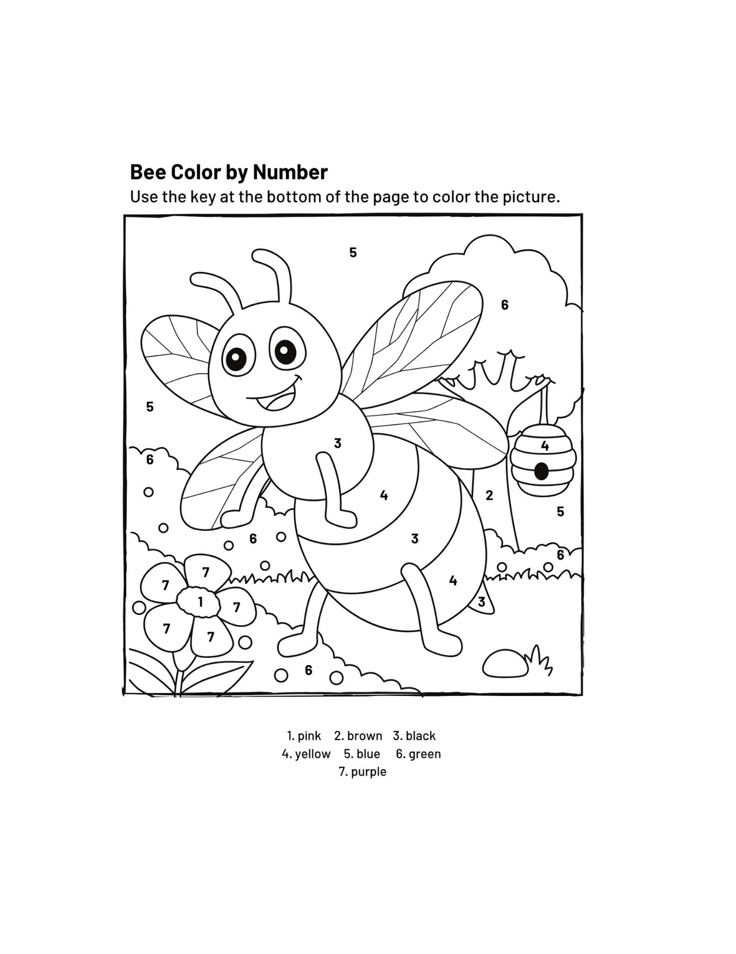Paint with Numbers-ColoringDreamz