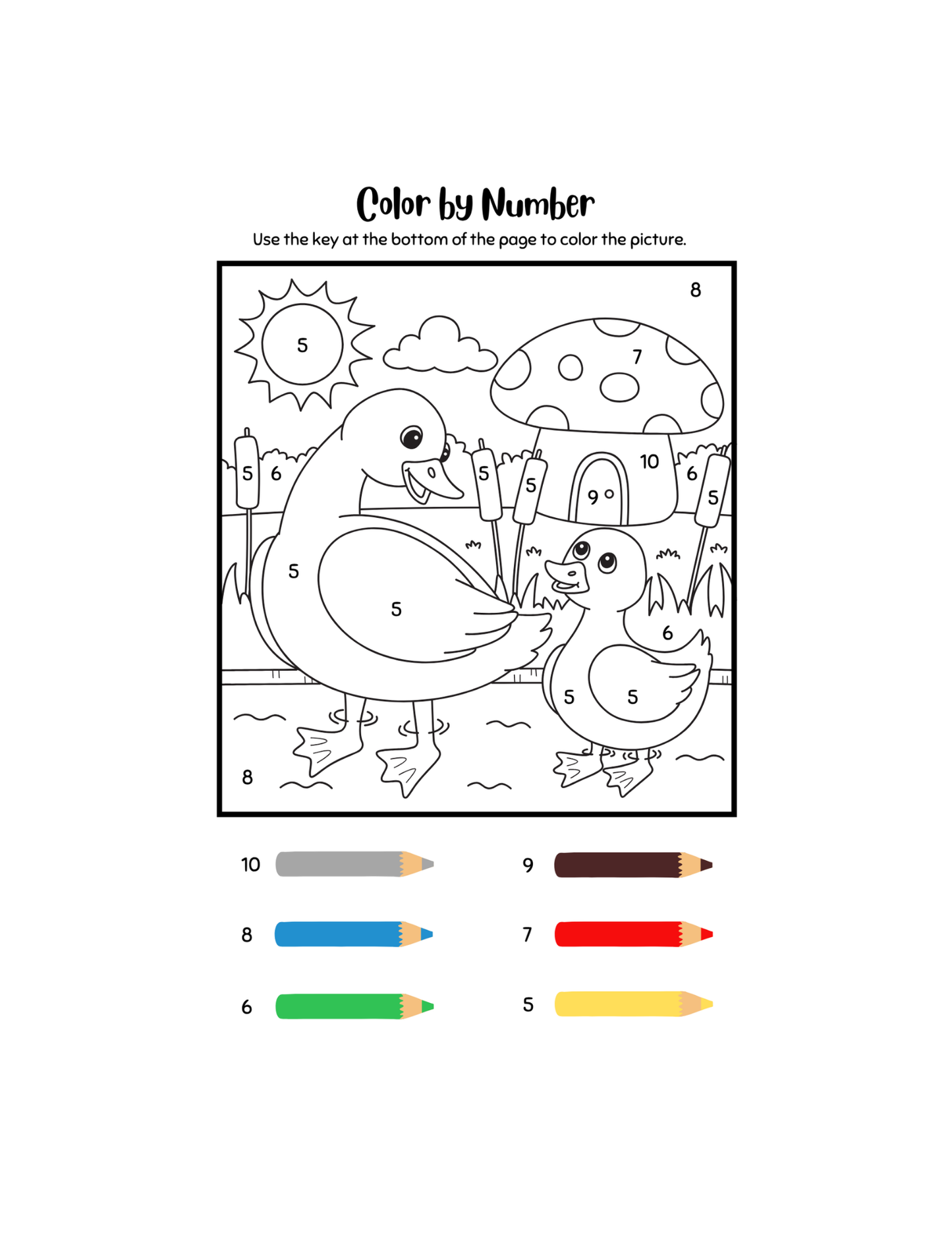 Paint with Numbers-ColoringDreamz