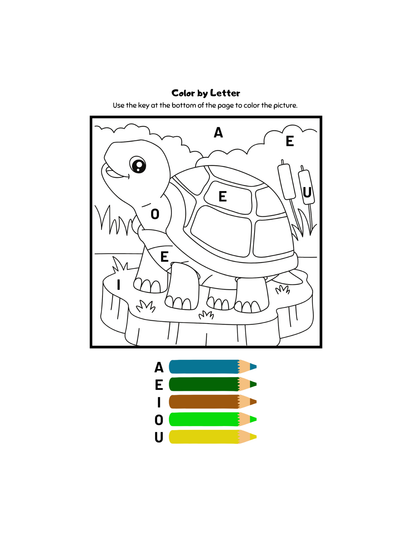 Paint with Numbers-ColoringDreamz