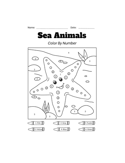 Paint with Numbers-ColoringDreamz