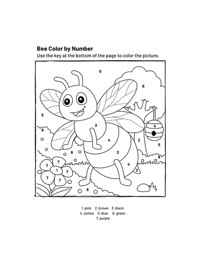 Paint with Numbers-ColoringDreamz