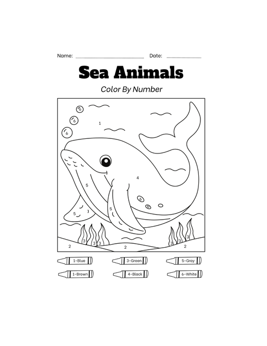 Paint with Numbers-ColoringDreamz