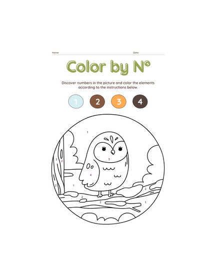 Paint with Numbers-ColoringDreamz