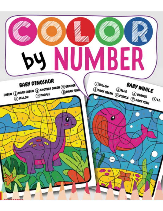 Paint with Numbers-ColoringDreamz